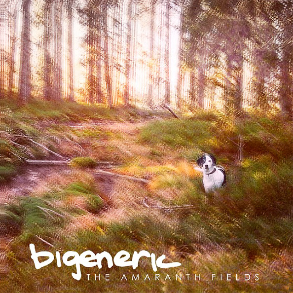 Bigeneric - The Amaranth Fields - Cover